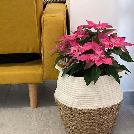 דון בניטו Nuevo Apartamento Folin מראה חיצוני תמונה